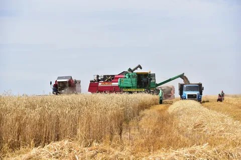 В новых регионах страны уборка урожая проходит своевременно благодаря технике, приобретенной у АО &quot;Росагролизинг&quot;.