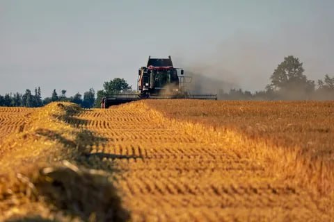 На территории ДНР, ЛНР, Запорожской и Херсонской областей завершается посевная и началась уборочная кампания.