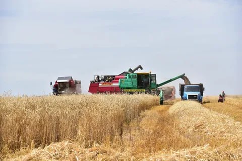 В новых регионах страны уборка урожая проходит своевременно благодаря технике, приобретенной у АО &quot;Росагролизинг&quot;.