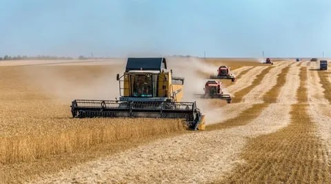 В Донецкой Народной Республике уборочная вышла на финишную прямую.