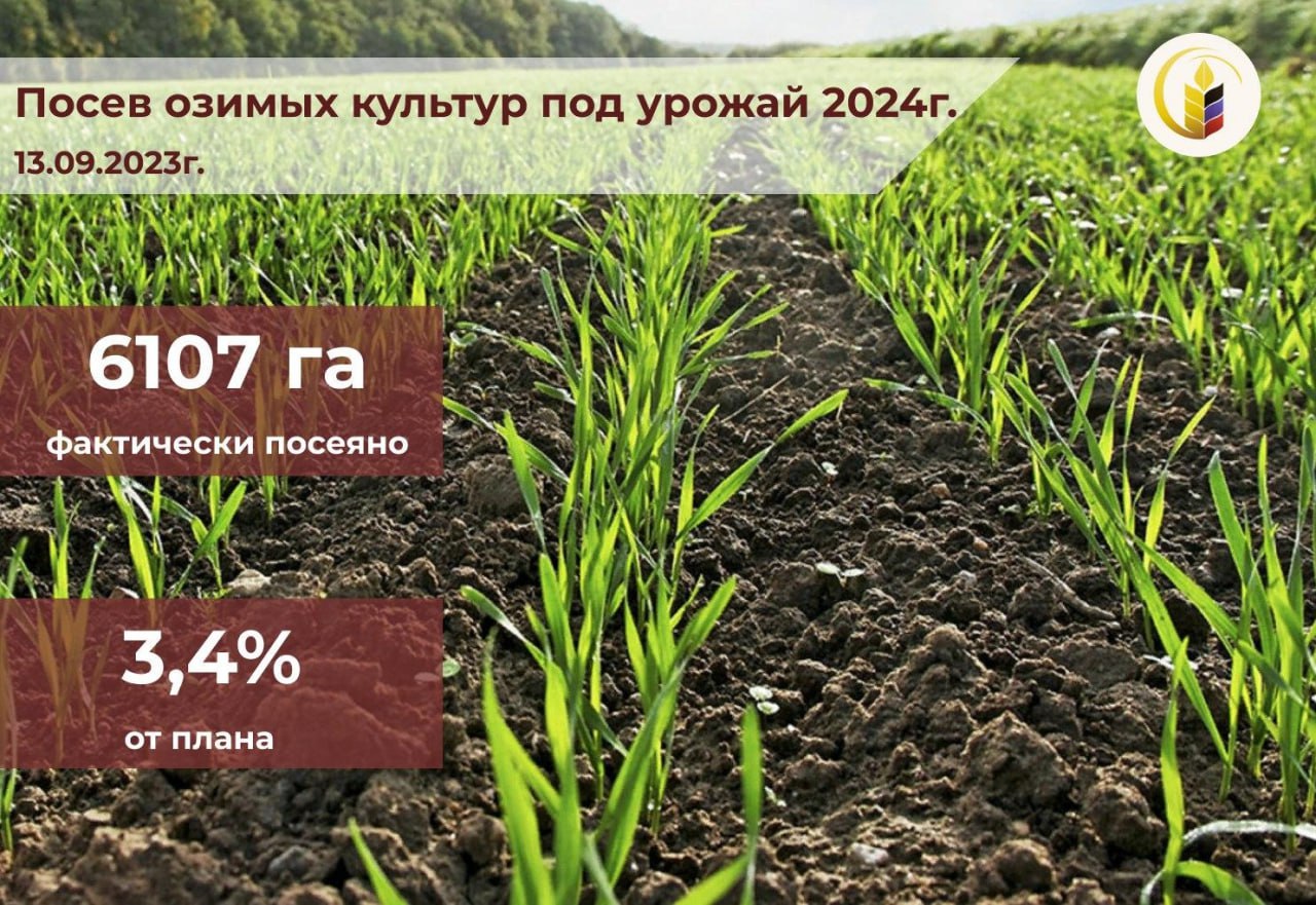 В Донецкой Народной Республике стартовал посев озимых культур под урожай 2024 года.