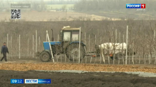 В Волновахском районе продолжается работа над расширением президентского сада, который был заложен в 2022 году, в день рождения Владимира Путина.