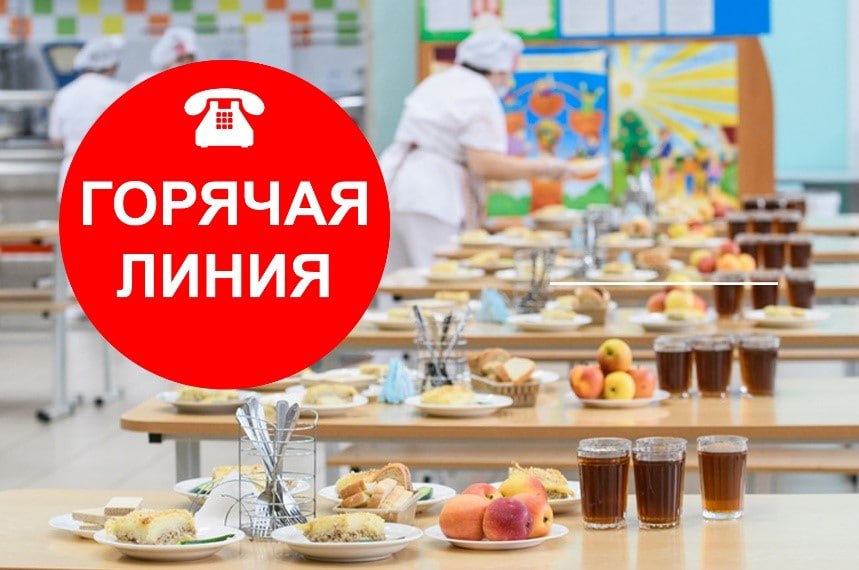 Для родителей в Донецкой Народной Республики открыли «горячую линию» по вопросам горячего питания в школах.