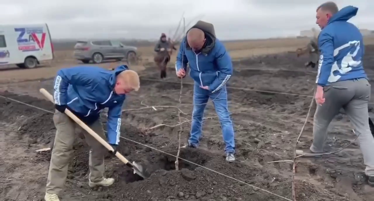 В ДНР зацвели яблони в президентском саду.