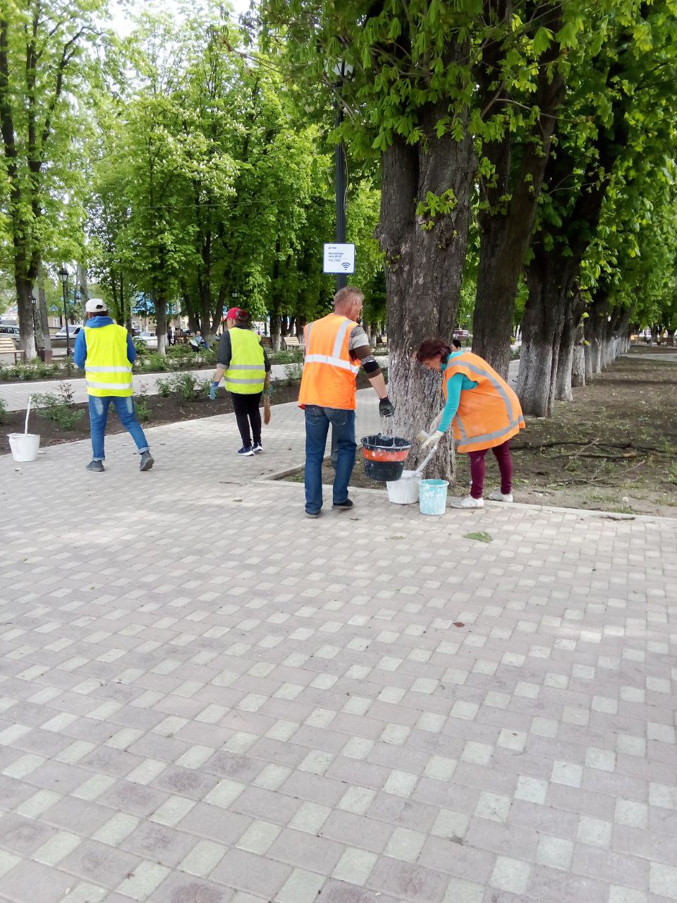 В Волновахском муниципальном округе состоялся Всероссийский экологический субботник «Зеленая Весна»..