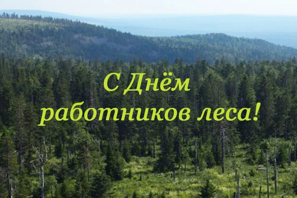 Поздравление главы муниципального образования Волновахский МО с Днем работников леса и лесоперерабатывающей промышленности!.