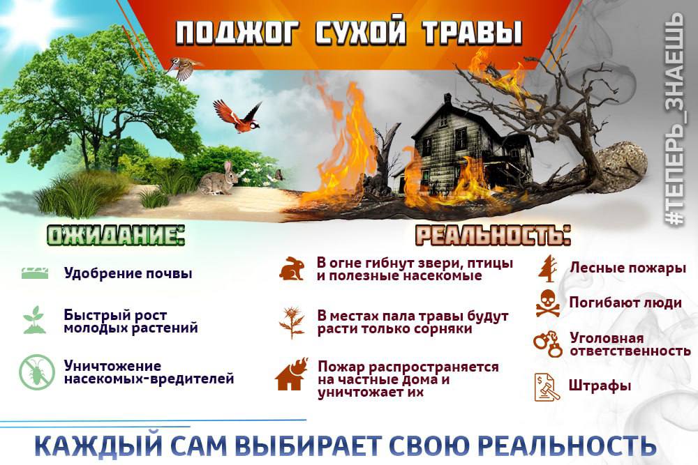 ВМЕСТО УБОРКИ СУХОСТОЯ ТЫ БРОСАЕШЬ СПИЧКУ?.