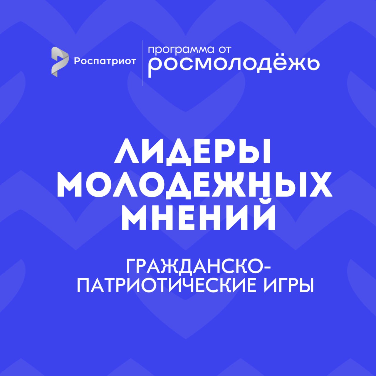 Образовательно-просветительские мероприятия «Лидеры молодежных мнений».