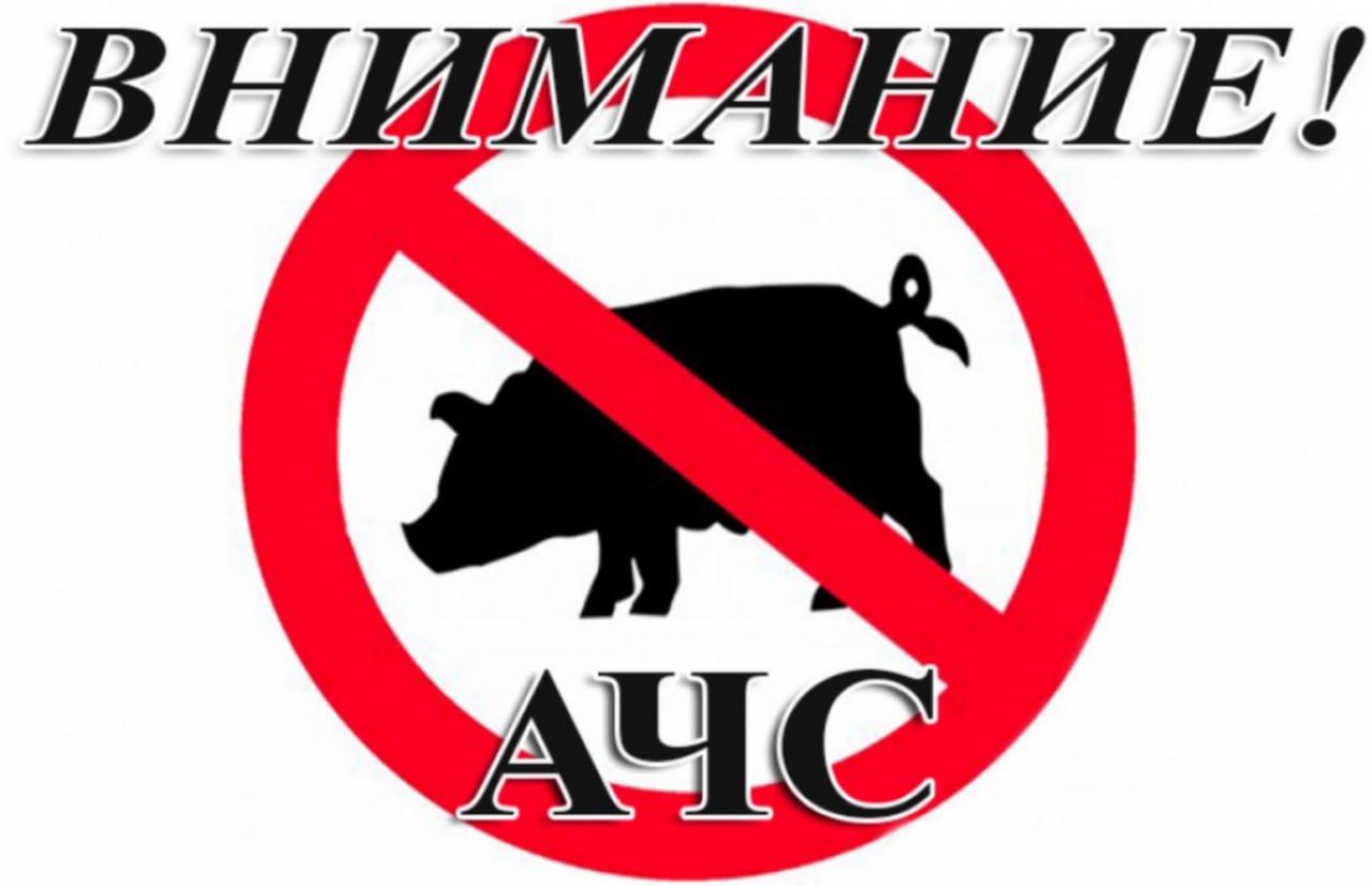 ВНИМАНИЮ НАСЕЛЕНИЯ - АФРИКАНСКАЯ ЧУМА СВИНЕЙ.