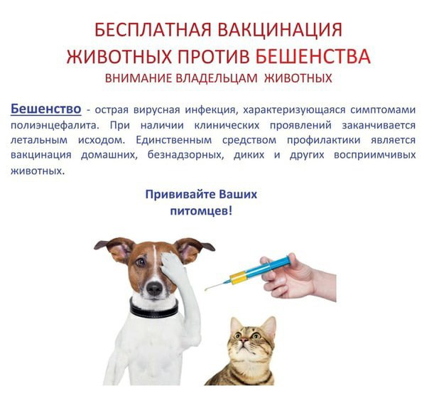 Внимание.