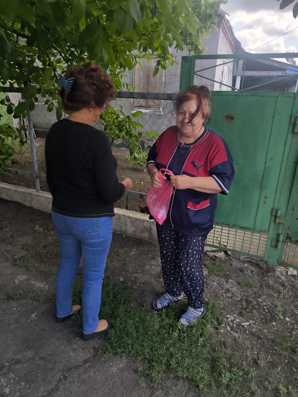 Выездная аптека в Егоровке: доставка лекарств для жителей Волновахского округа.