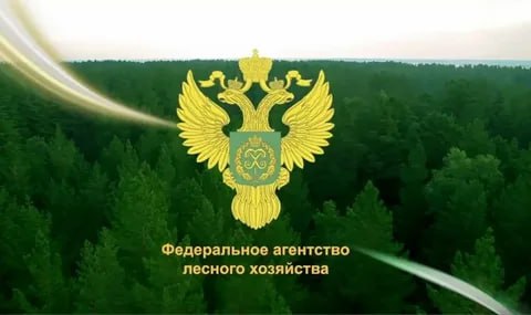 Рослесхоз: новым субъектам направлено 142 млн рублей на ведение лесного хозяйства в 2023 году. Рослесхоз: новым субъектам направлено 142 млн рублей на ведение лесного хозяйства в 2023 году.